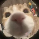 rickowtf