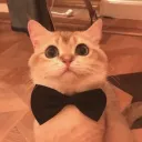 mr.brioche_