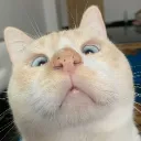 _lucas111_