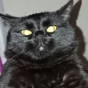 ajinxar