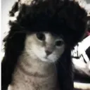 ripunknownxi