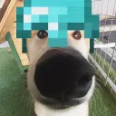 itzrealcloudy