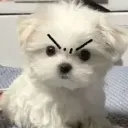 itzrealcloudy