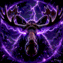 moose_aus