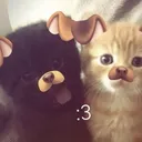 noah_hi766