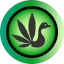 hanfwerkverband