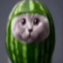 dachiwantsprojectnova_01484 avatar