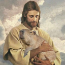 View gsuschrist117's Profile