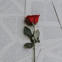 0o0o0o0o0o0o0o0o0o0o