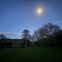 avatar 𝓻𝓾𝓫𝓮𝓼