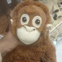 jayogefixs