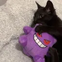 notdevilbs