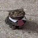 terminator07945 avatar