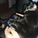 uvb76fan