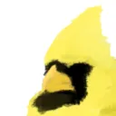 sprungcardinal8