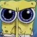 spongyturtle