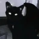 avoidm3dz