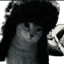 alexkq0