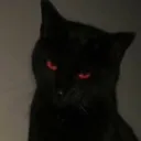 wolfiox