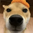 wydsoldoge