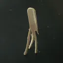 ichinisanyon avatar