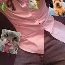 kennysgogeta123 avatar