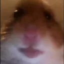 haydenbradley_1