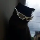 0nlyf1