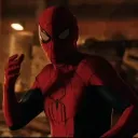 mini_spider_ofc