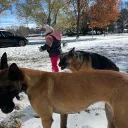 k9cubed