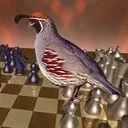 Quail's Avatar