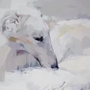 lvettaa