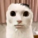 Аватар verzikottthtt_89703