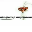 radok_main