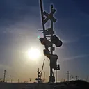 vivaantherailfanner