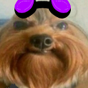 avatar ! Darkking#Jesus is King