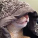sheev_chalpatine