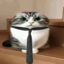puropararel98