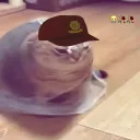 puropararel98