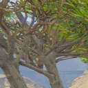 daddysgotme
