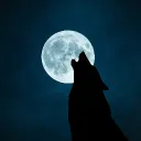 wolframas_
