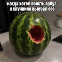 mavkax