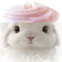 cwnnabun