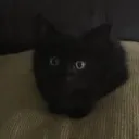 epicfanthomyt avatar