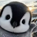 deadlightecho