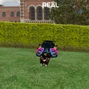 nexus123_12