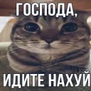 mladshiigestalt
