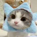 morevexak