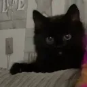 migillian