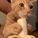 3ow3ow